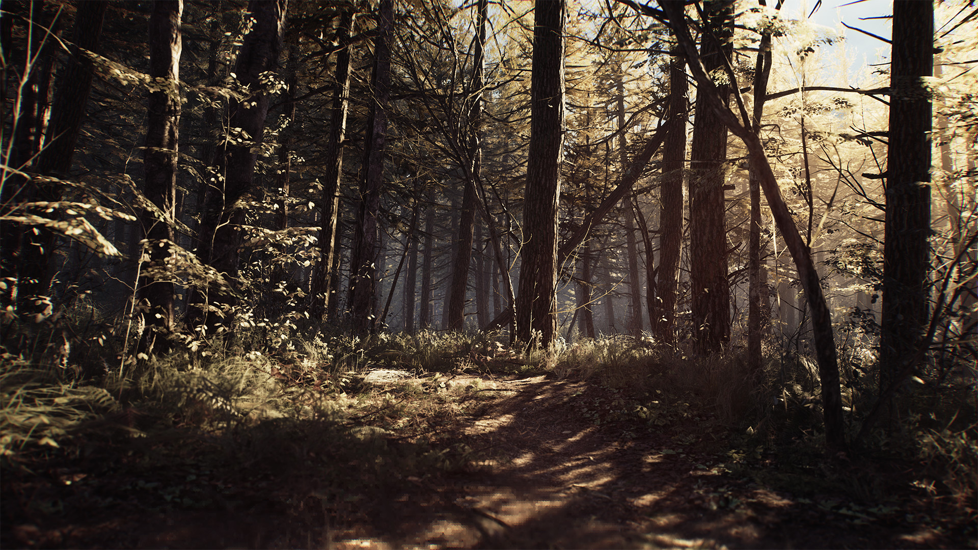Скриншот: Blair Witch