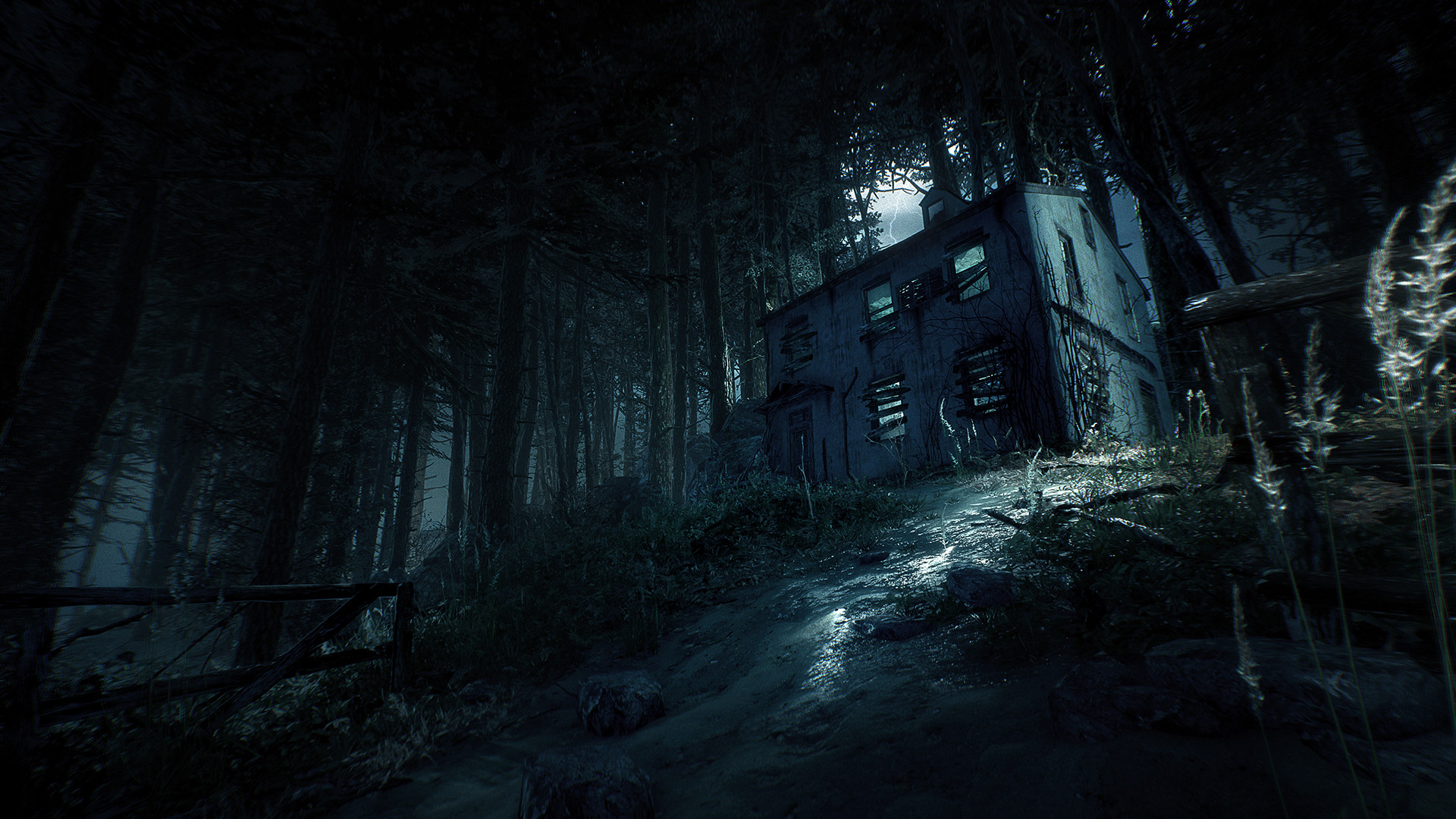Скриншот: Blair Witch