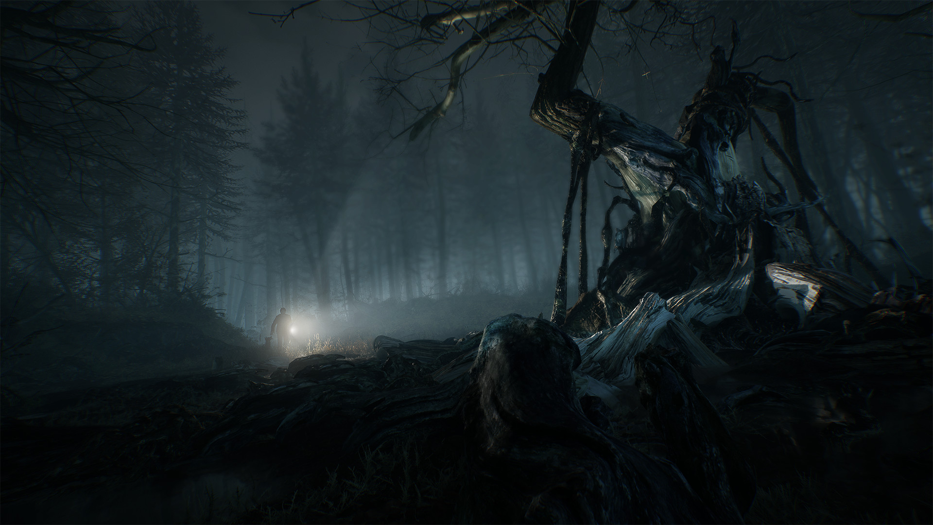 Скриншот: Blair Witch