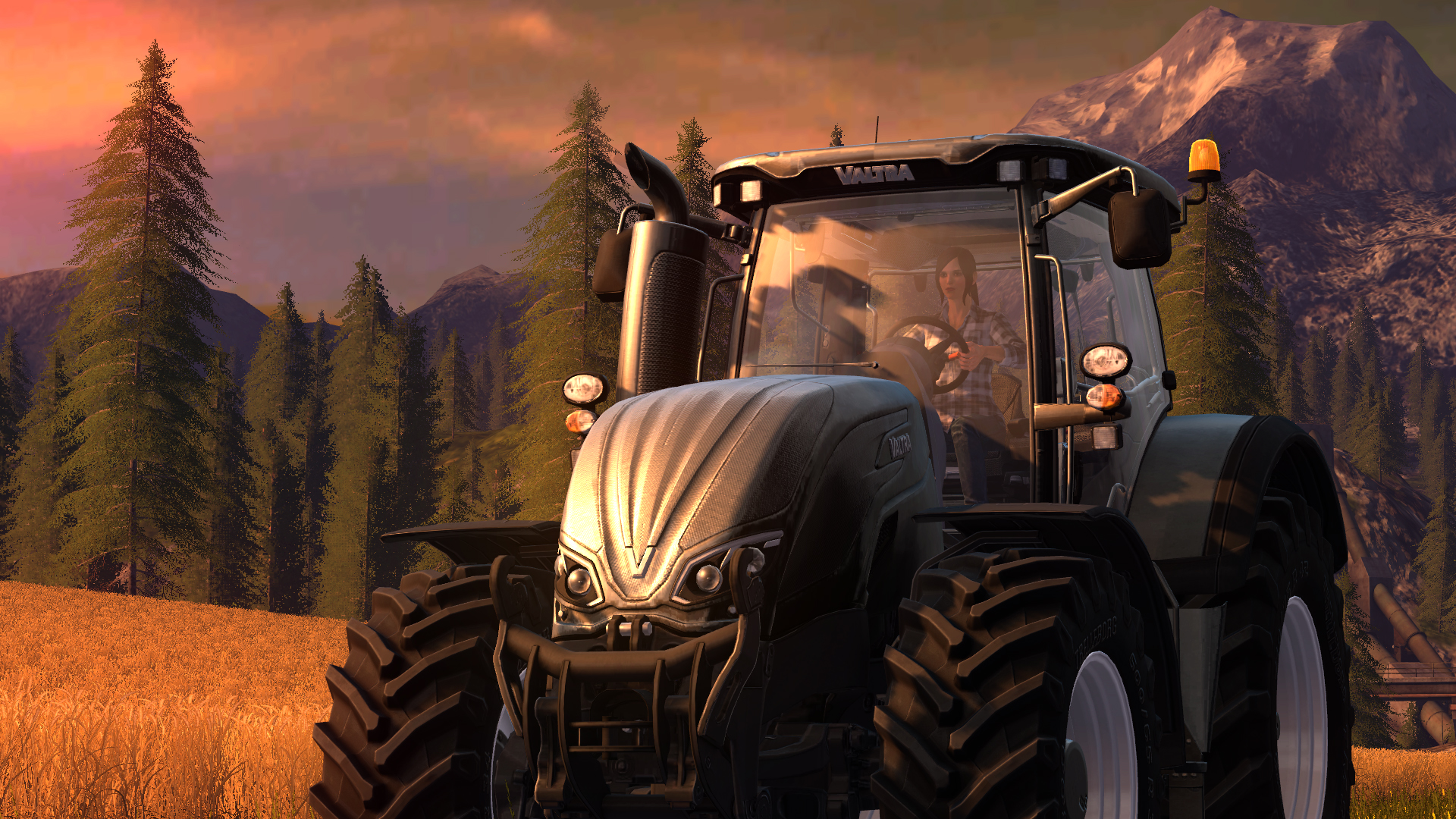 Скриншот: Farming Simulator 17