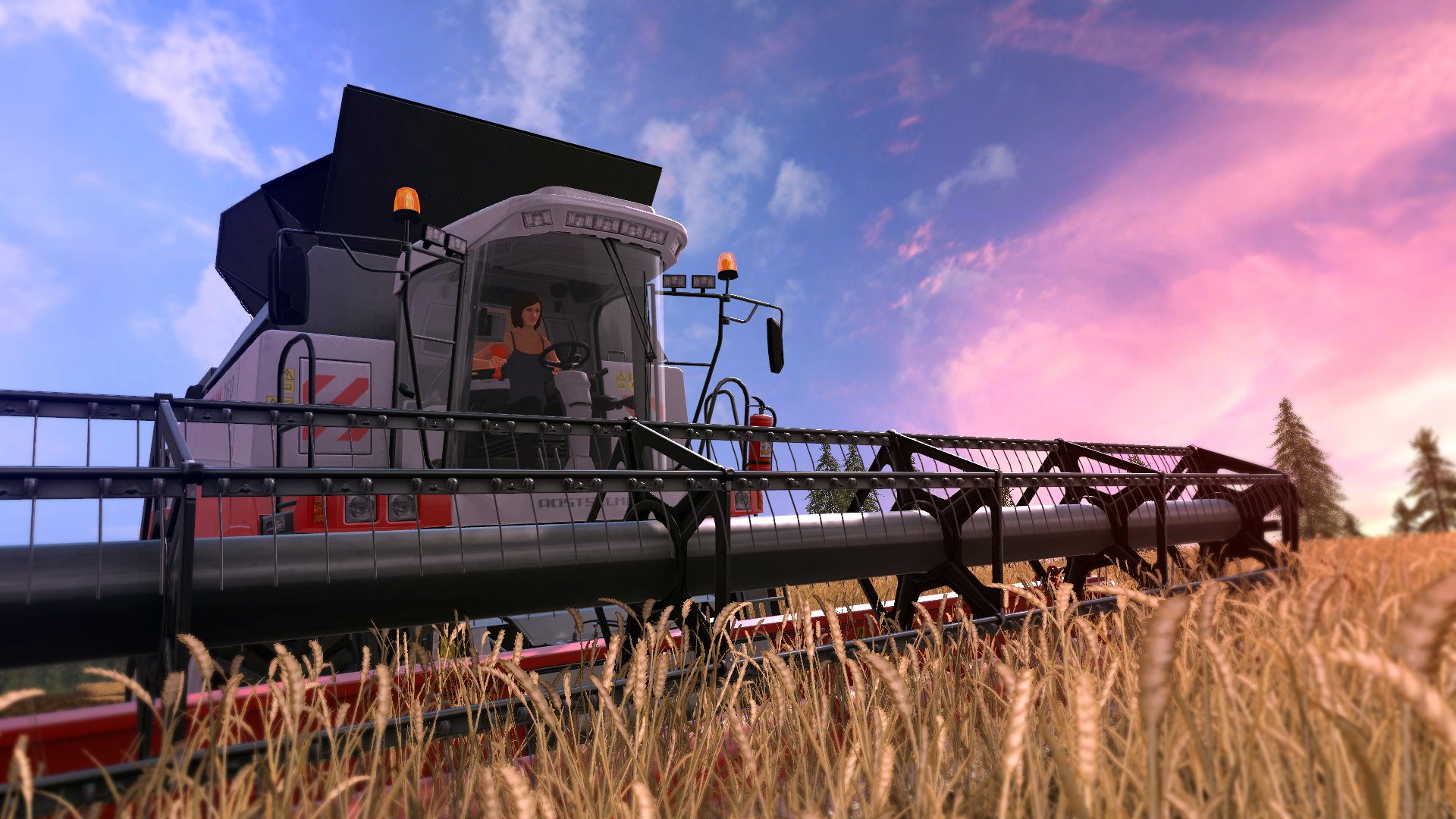 Скриншот: Farming Simulator 17