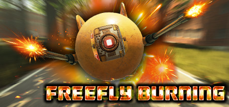 Обложка игры: FreeFly Burning