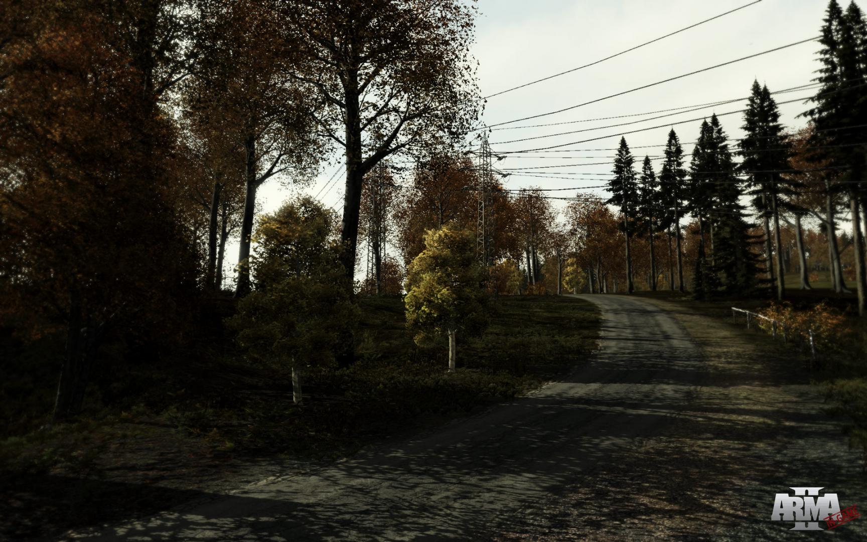 Скриншот: Arma 2