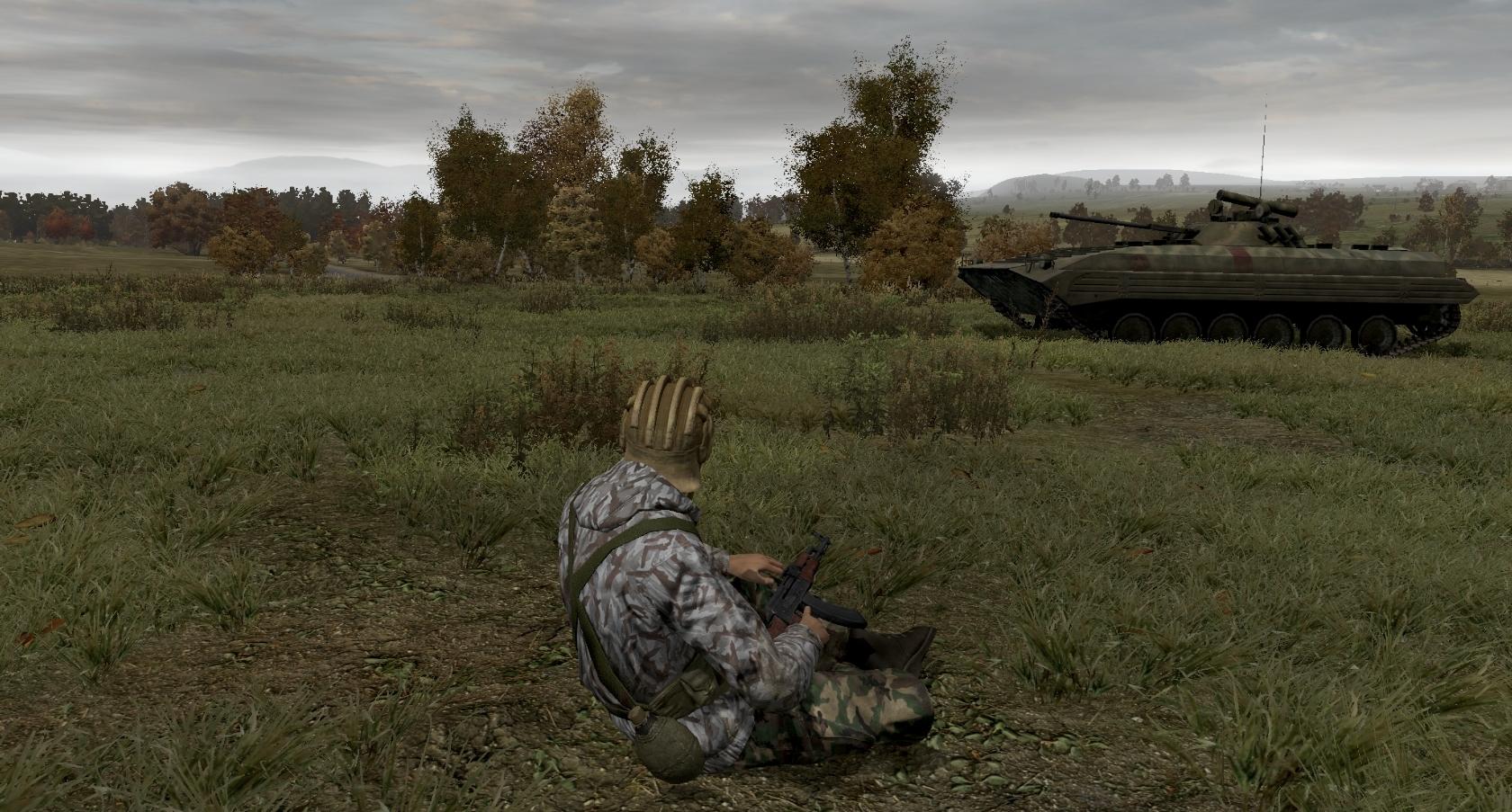 Скриншот: Arma 2