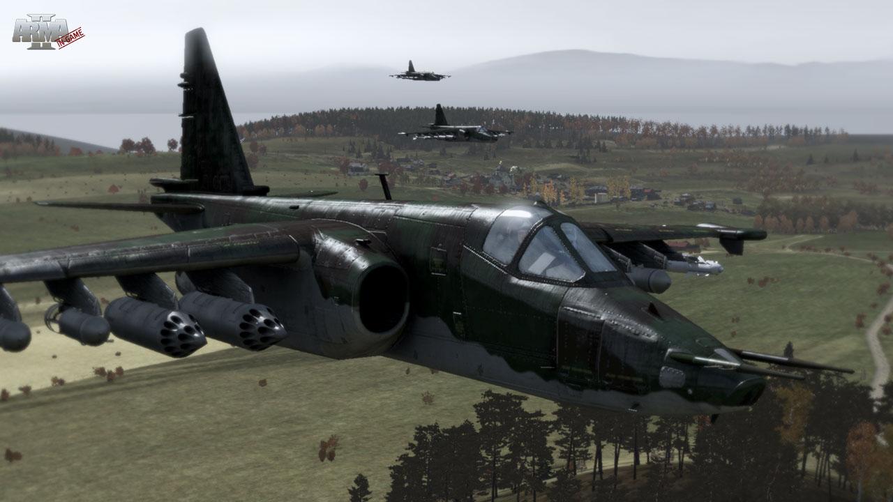 Скриншот: Arma 2