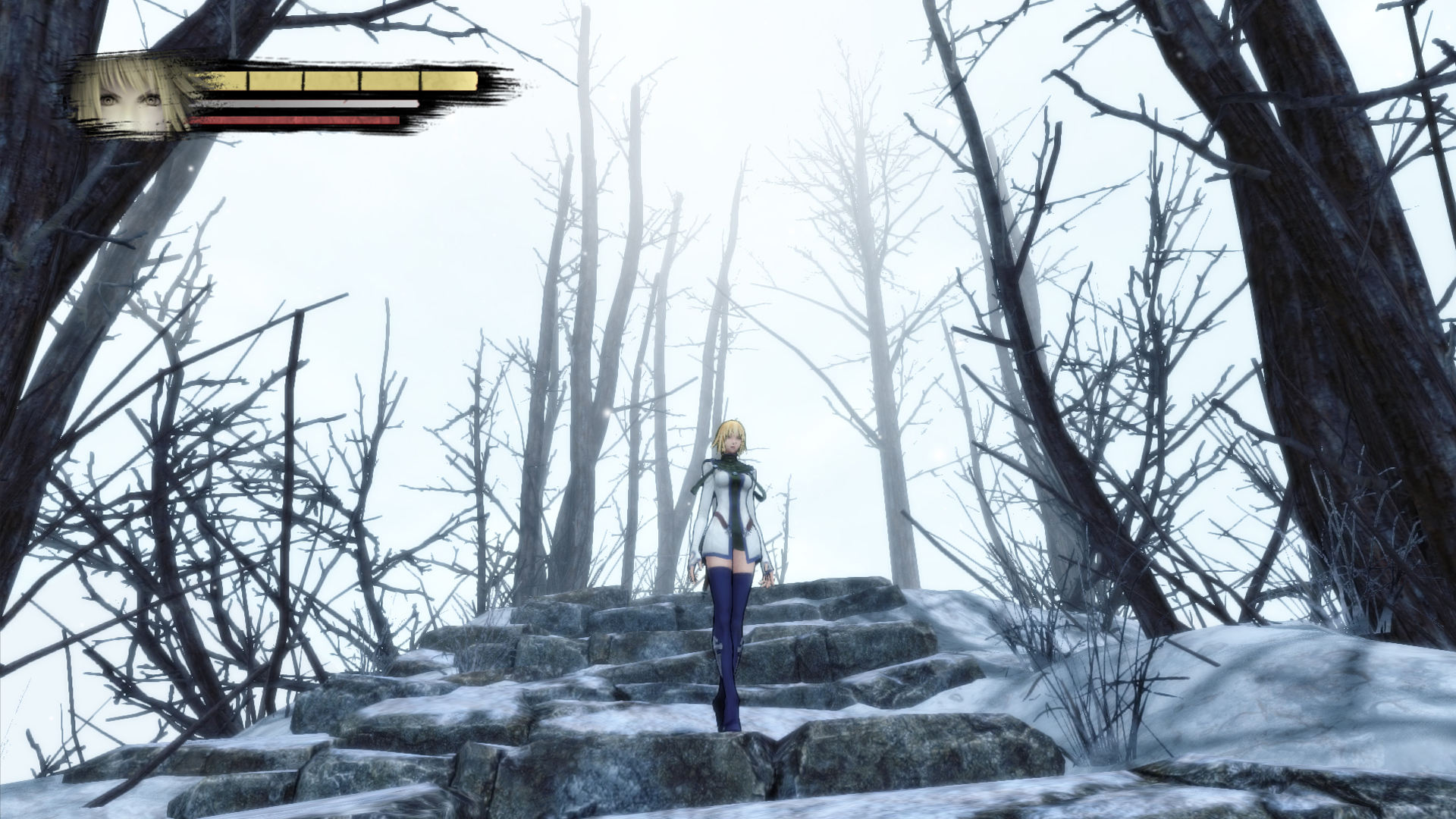 Скриншот: Anima: Gate of Memories