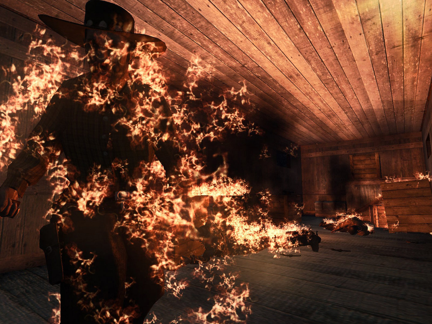 Скриншот: Call of Juarez