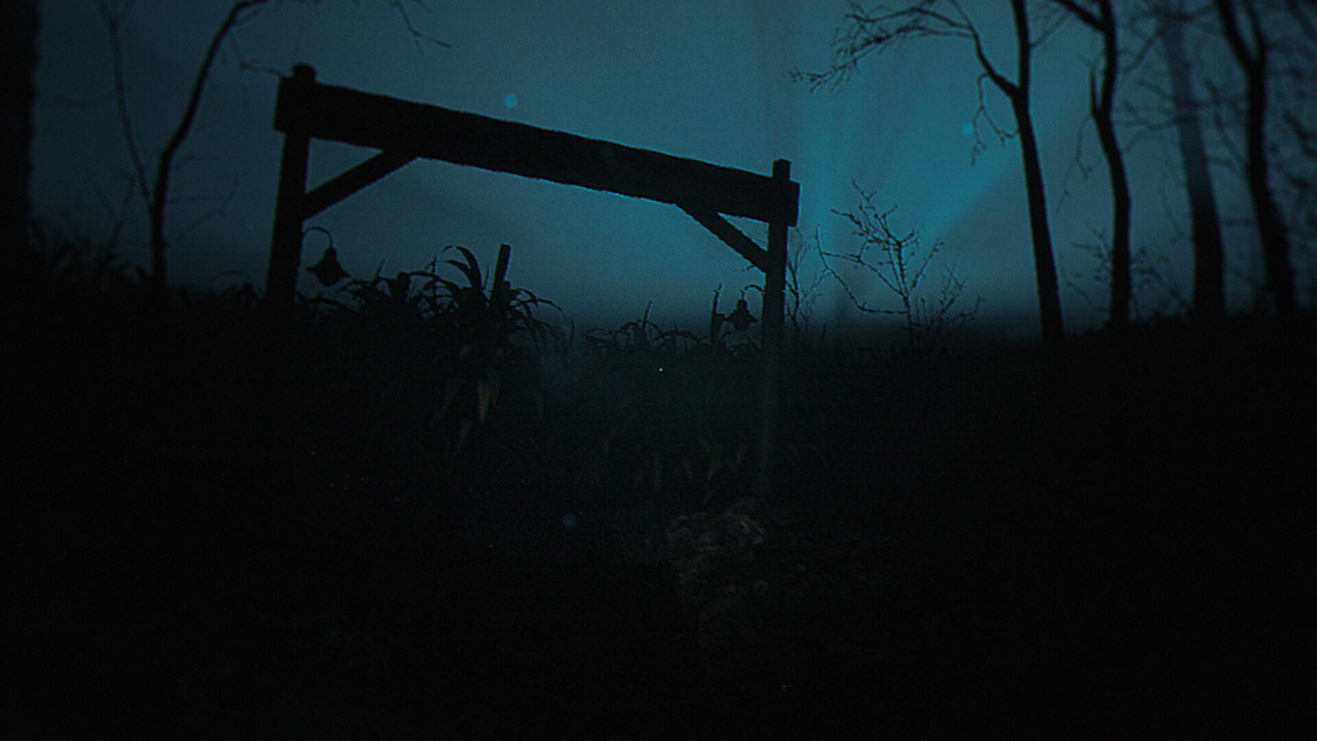 Скриншот: The Strange Lights