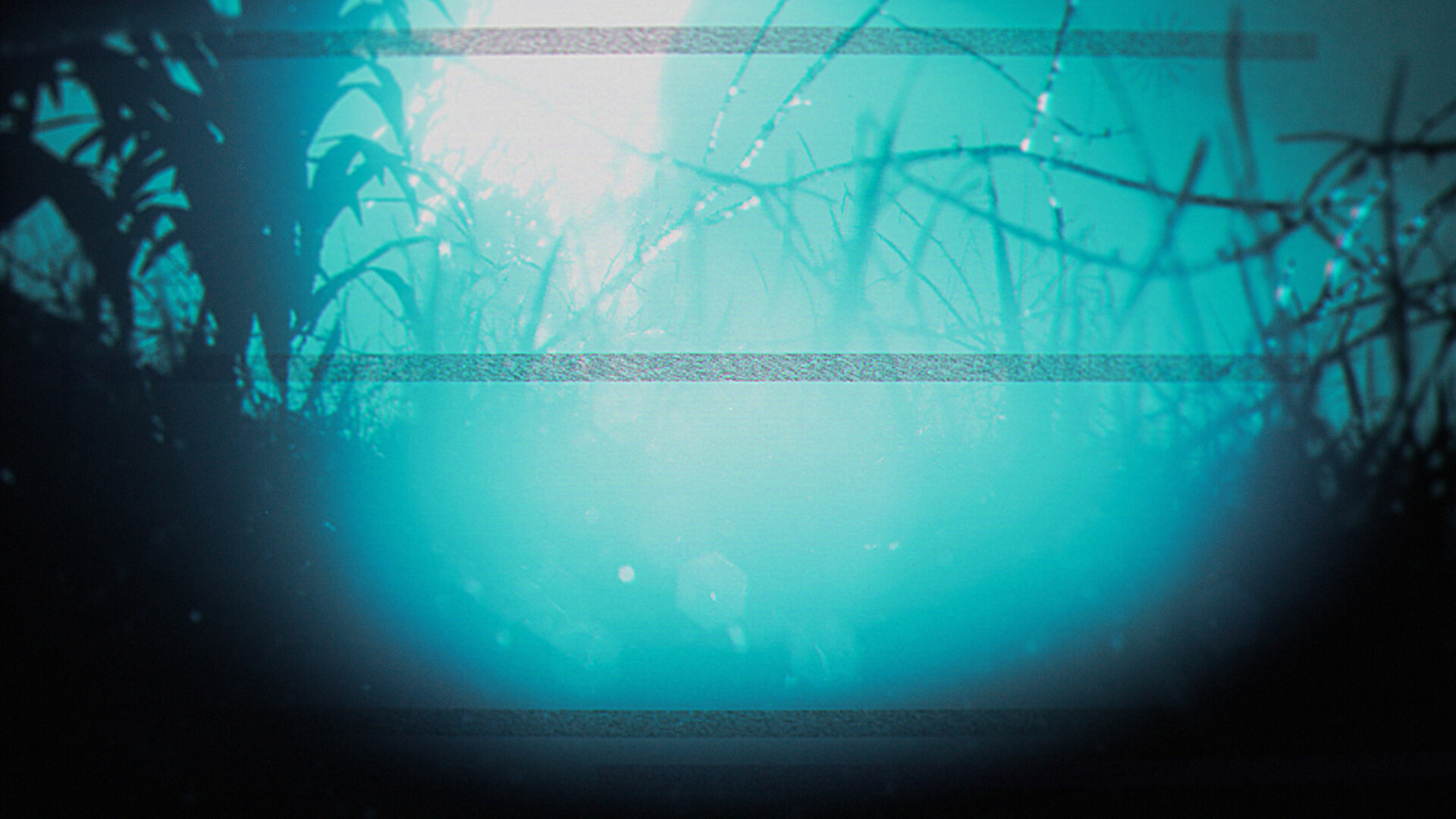 Скриншот: The Strange Lights