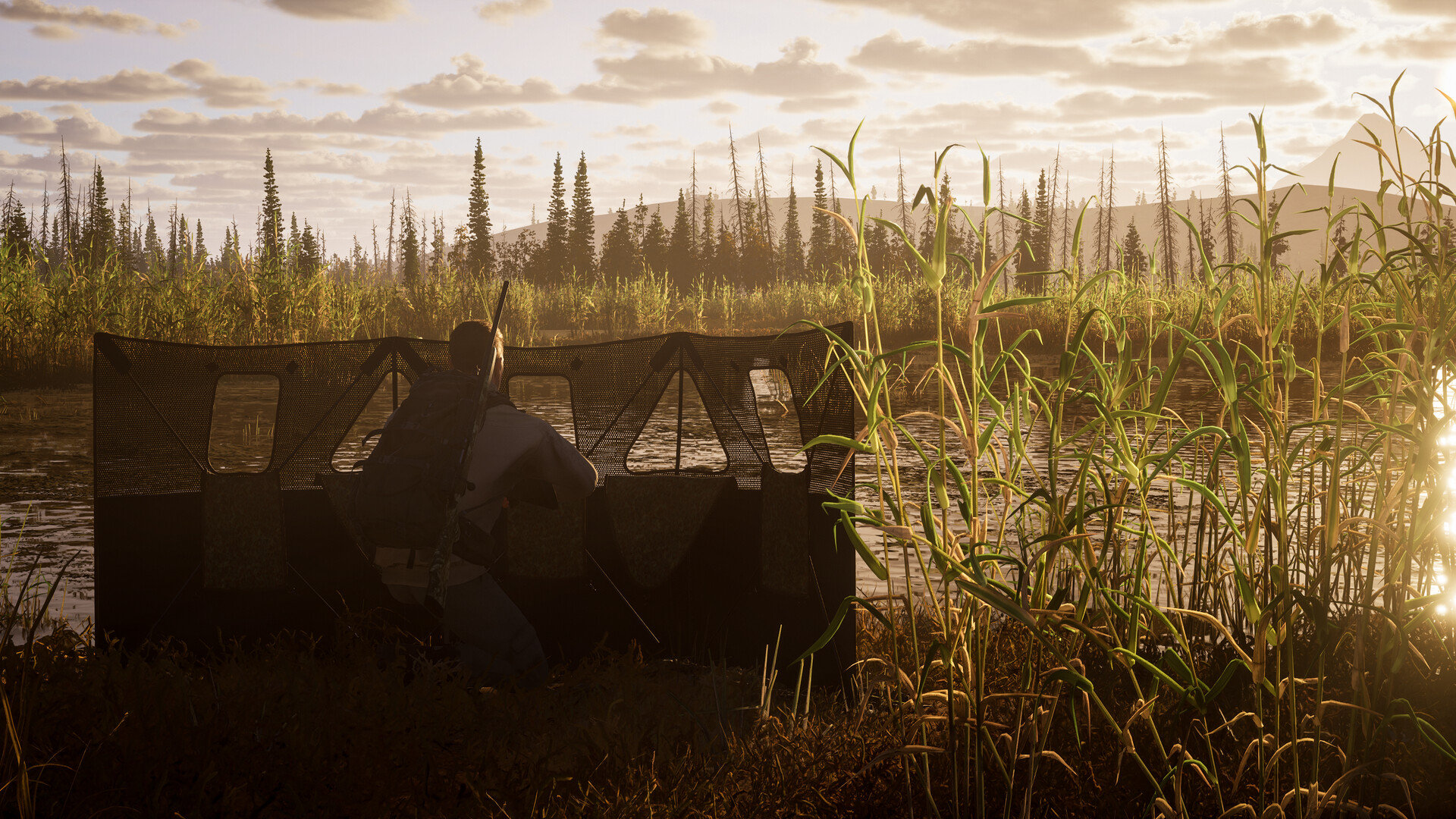 Скриншот: Way of the Hunter 2