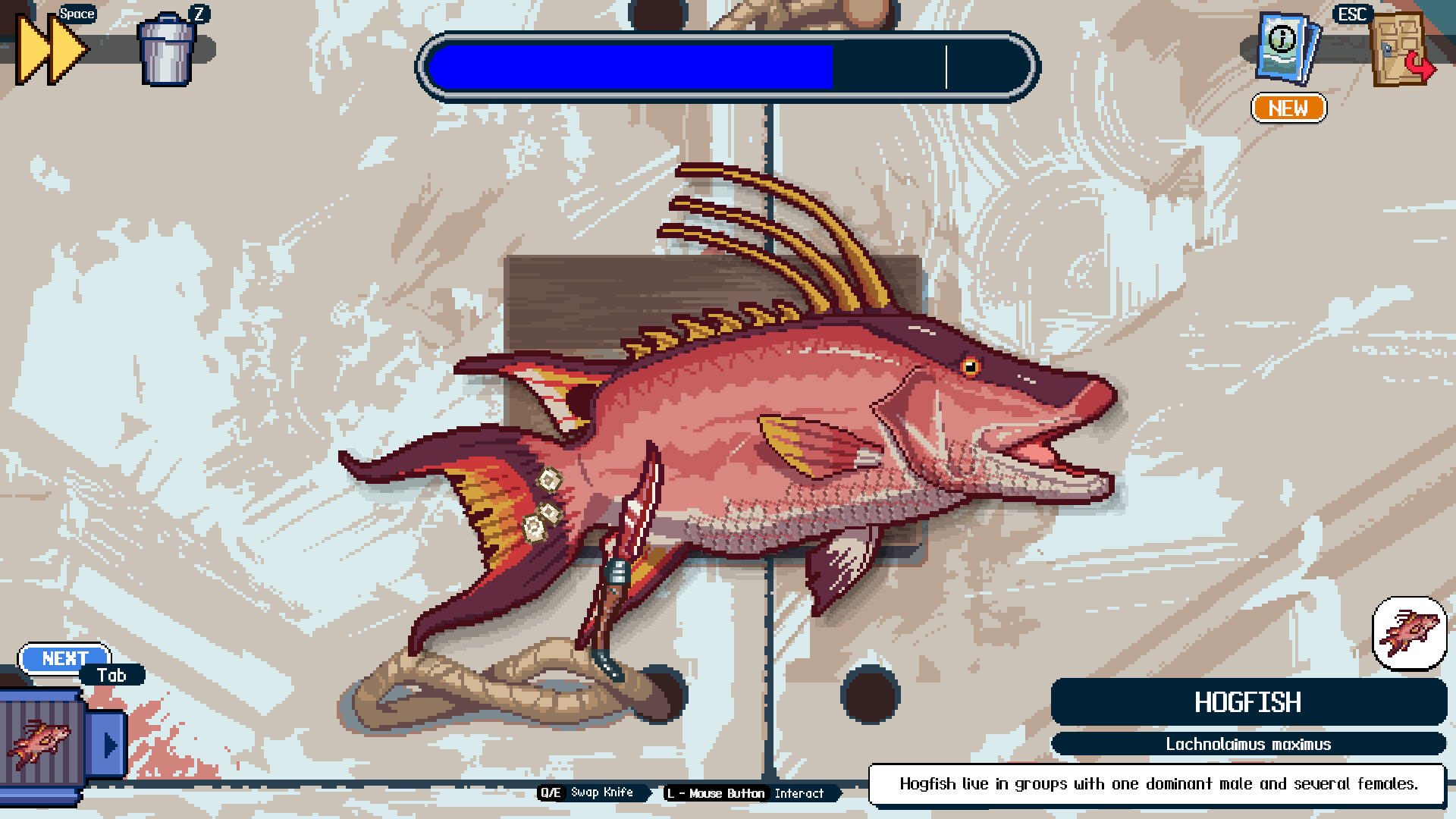 Скриншот: Scale the Depths