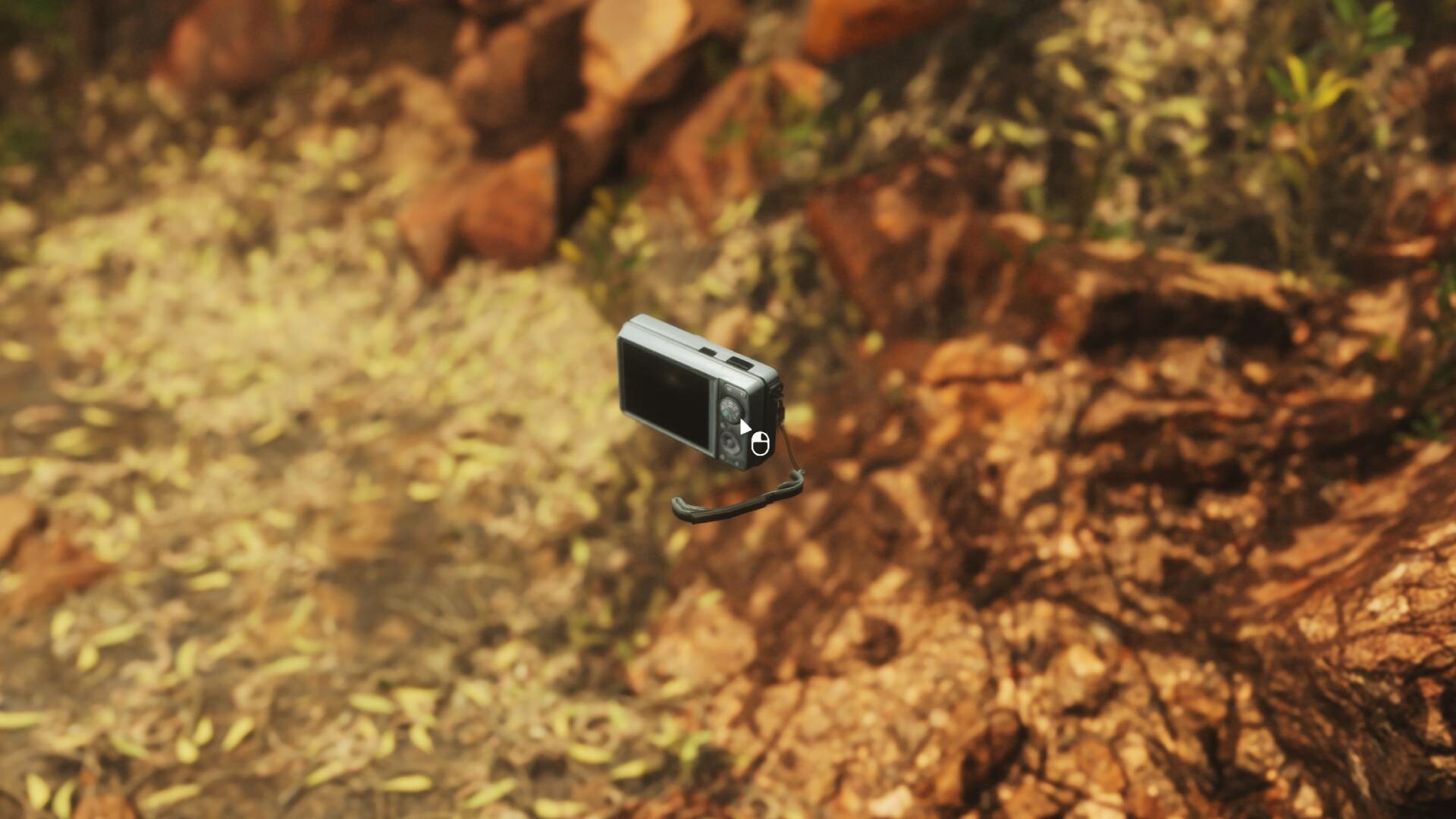 Скриншот: Lushfoil Photography Sim