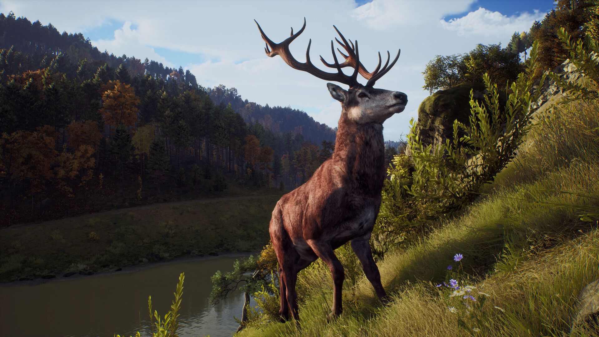 Скриншот: Way of the Hunter