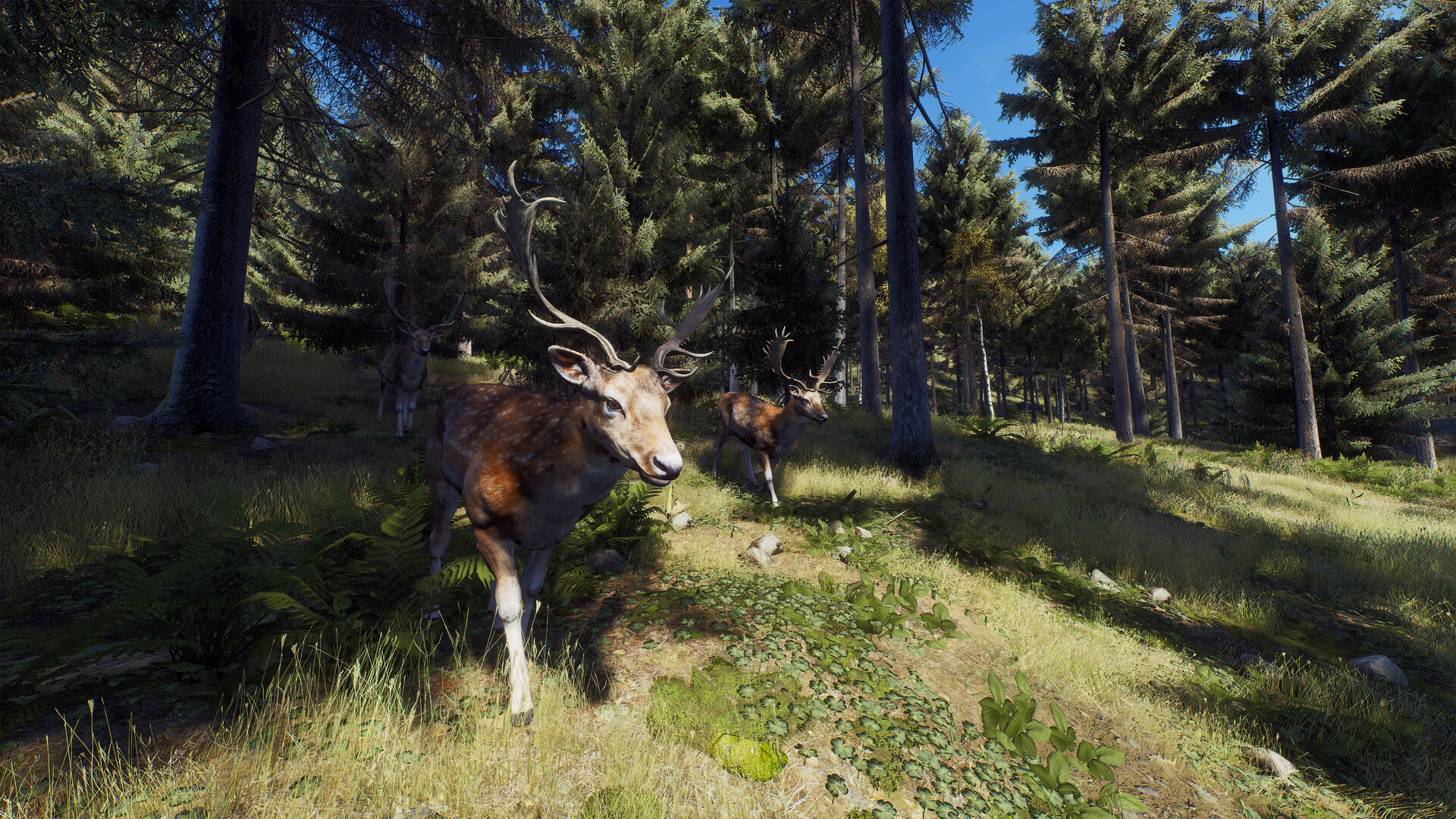 Скриншот: Way of the Hunter