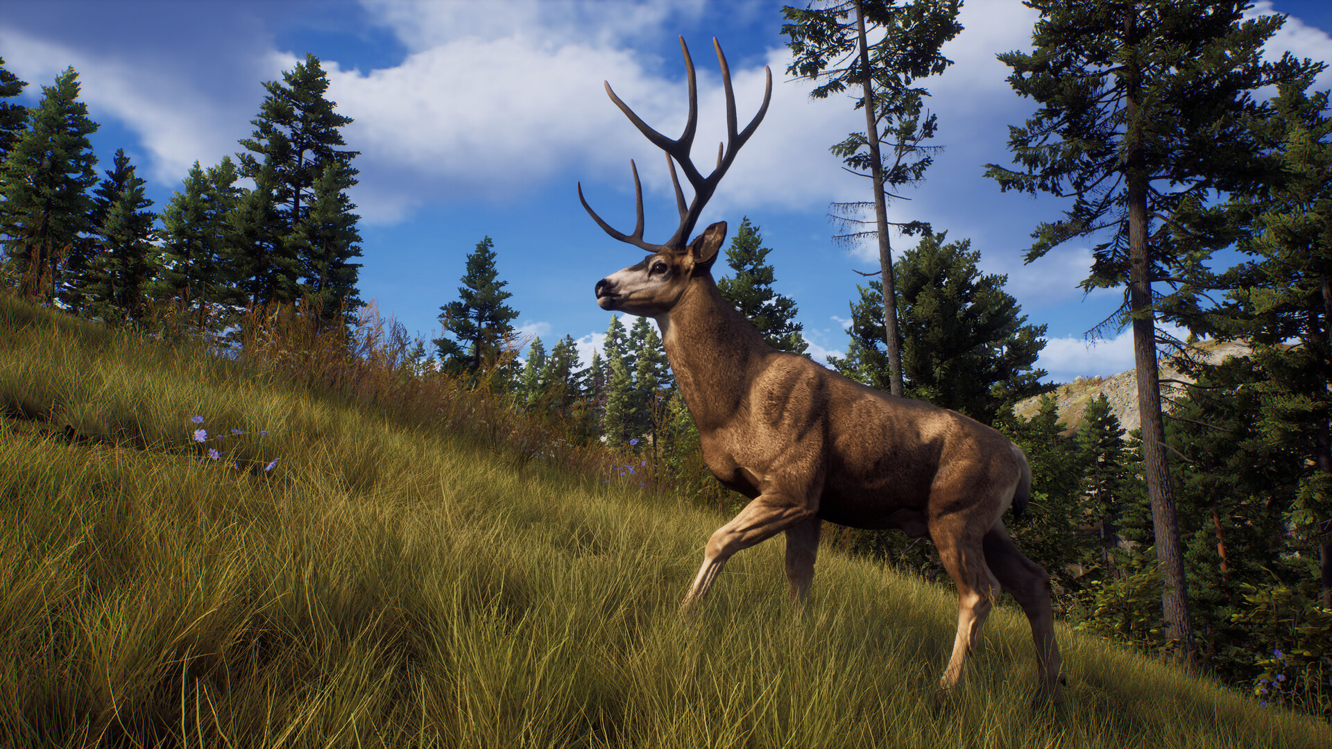 Скриншот: Way of the Hunter