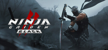 Обложка игры: NINJA GAIDEN 2 Black