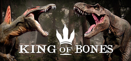 Обложка игры: King of Bones