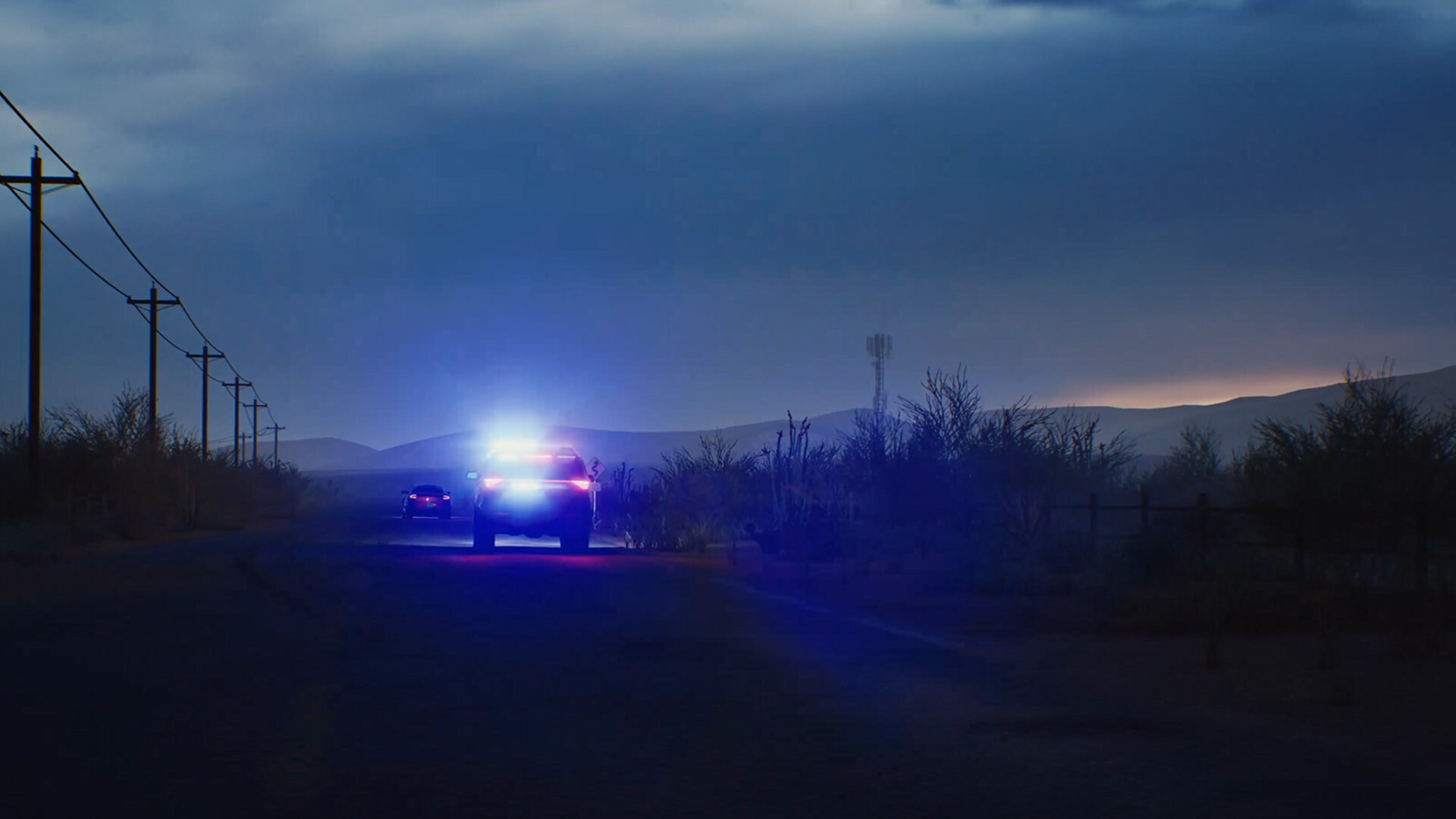 Скриншот: Highway Police Simulator