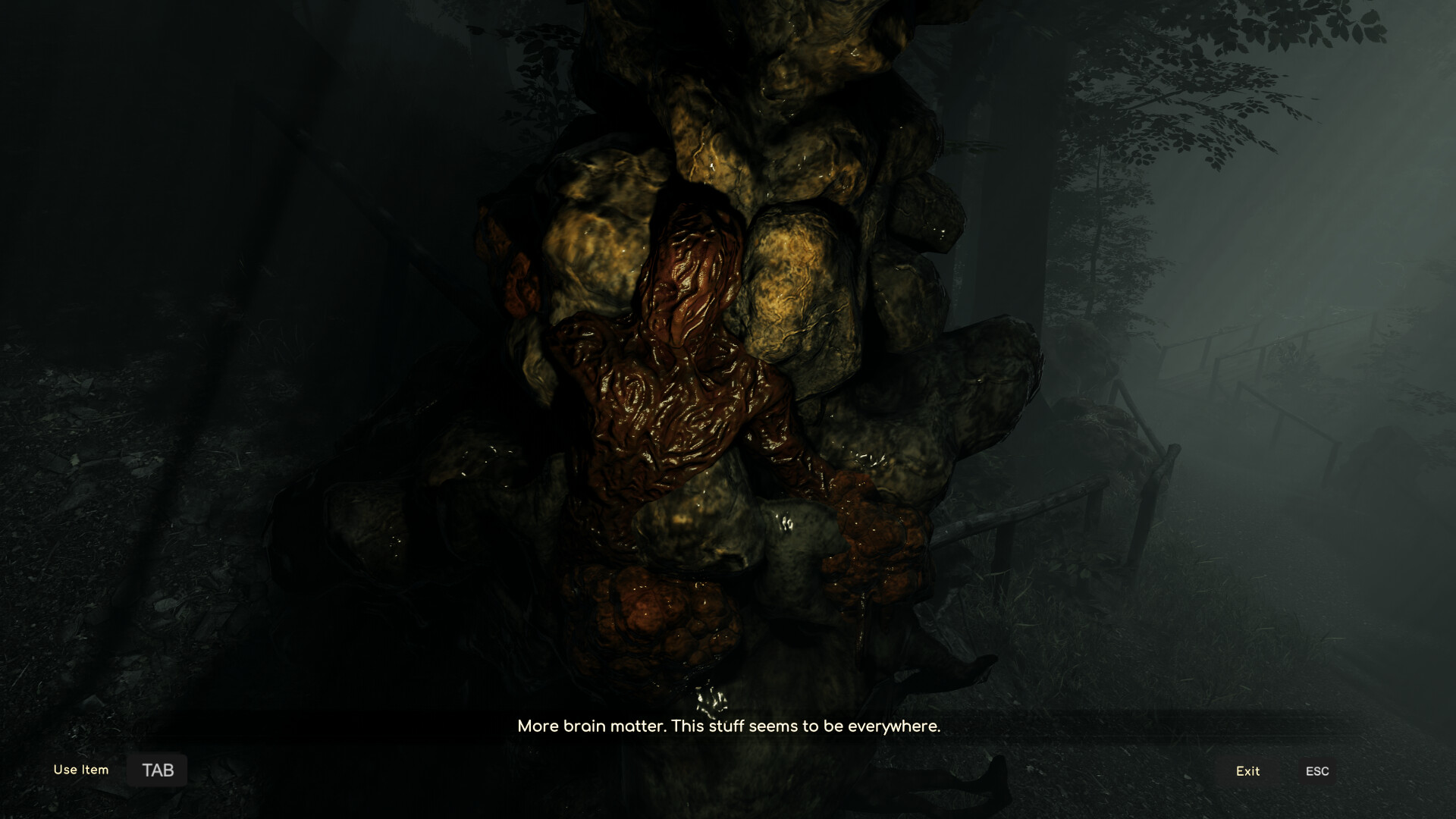 Скриншот: Connection: The Nightmare Within