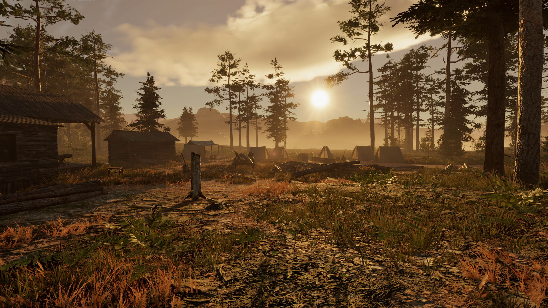 Скриншот: Wild West Dynasty