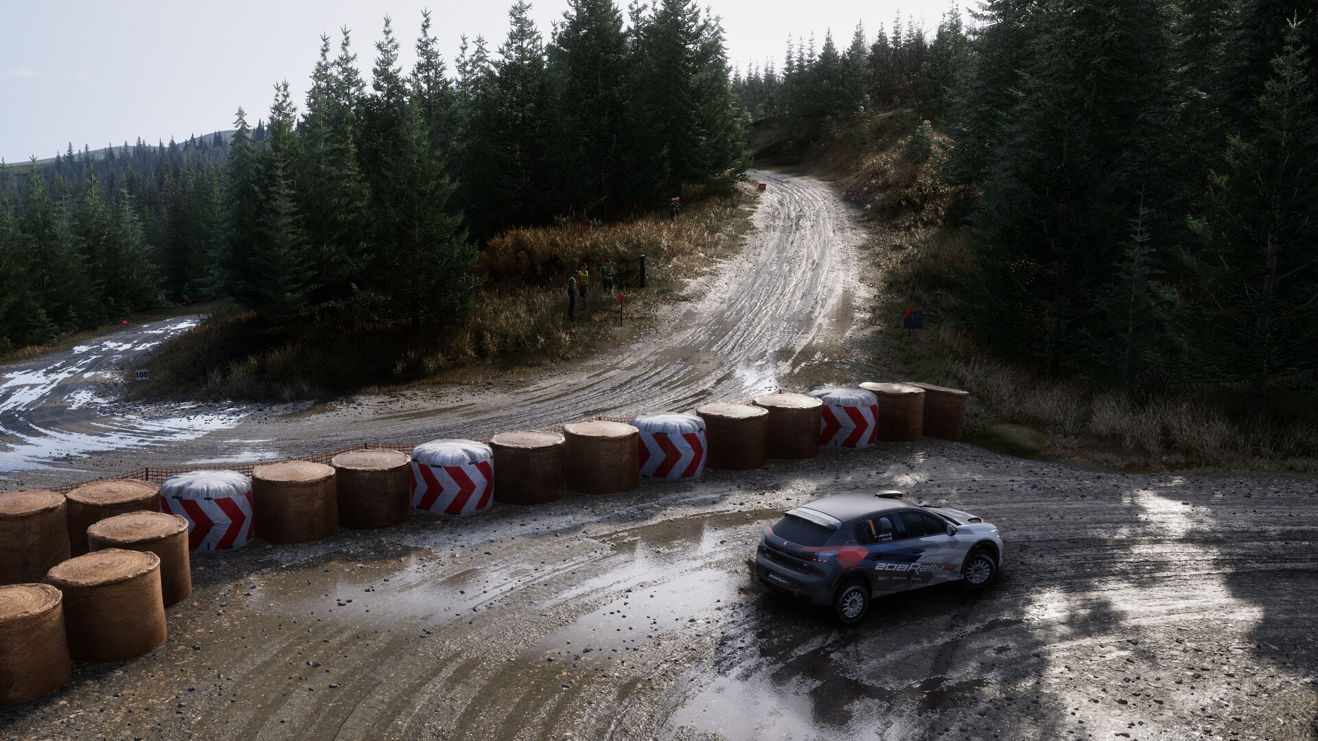 Скриншот: Assetto Corsa Rally