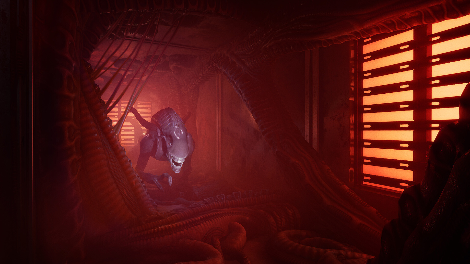 Скриншот: Alien: Rogue Incursion Evolved Edition