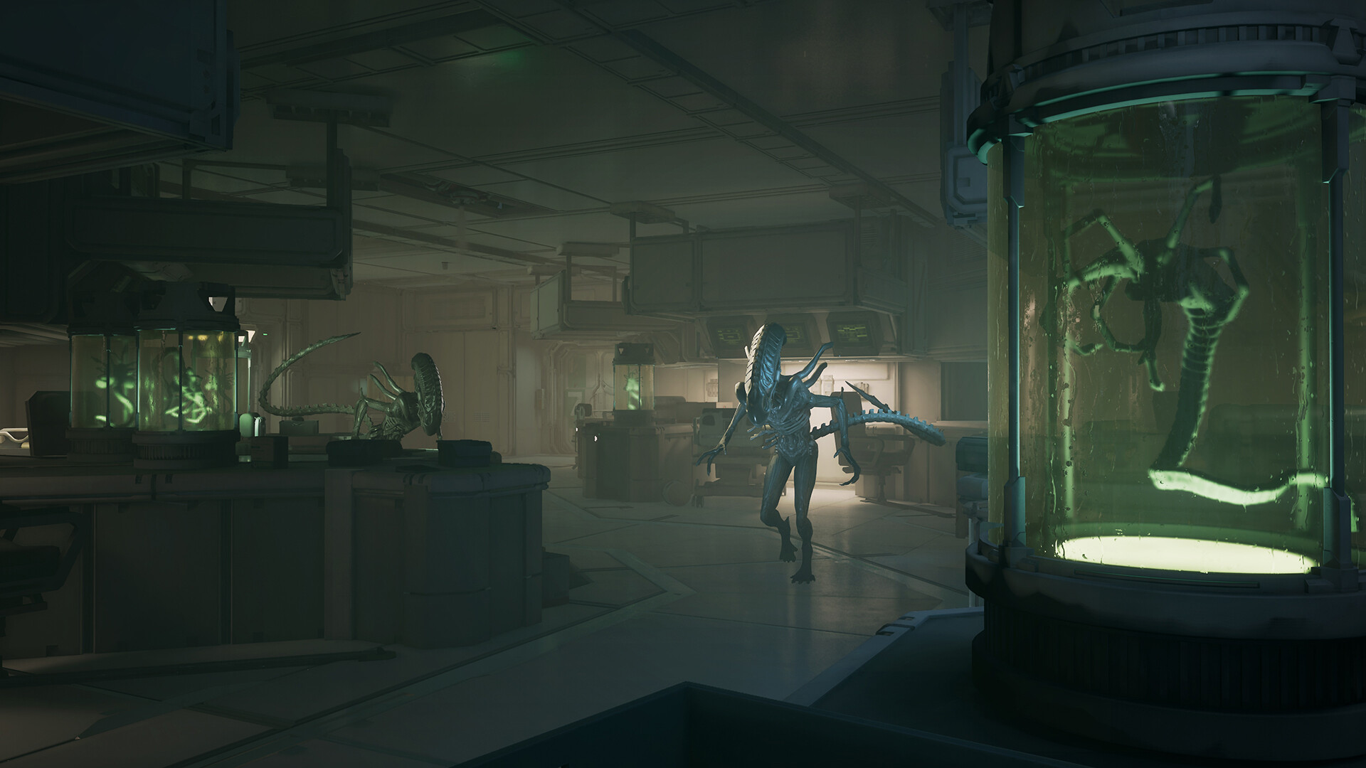 Скриншот: Alien: Rogue Incursion Evolved Edition