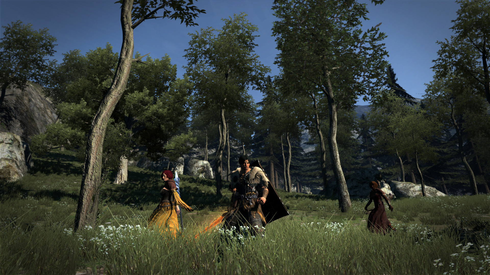 Скриншот: Dragon's Dogma: Dark Arisen