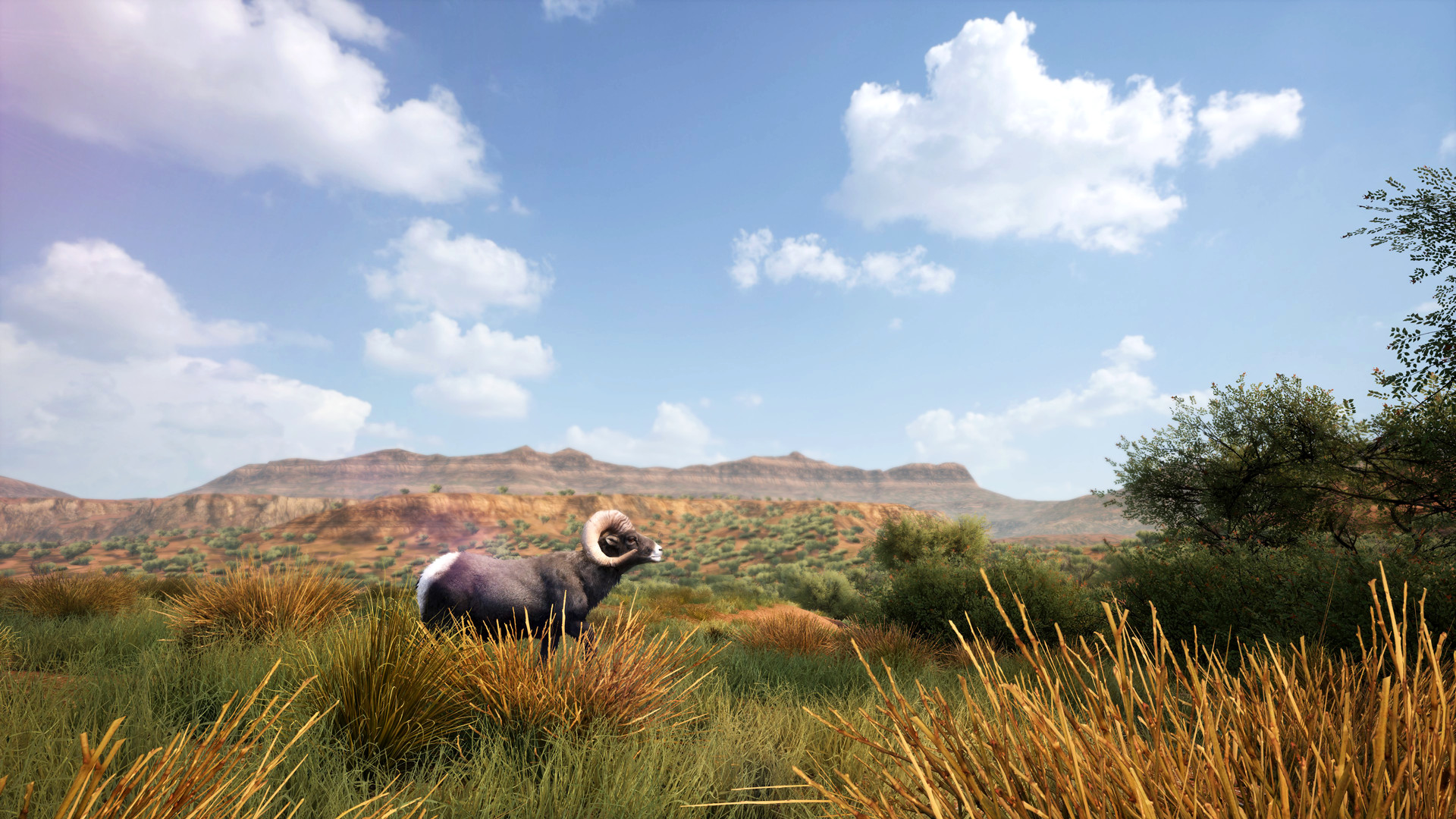 Скриншот: Hunting Simulator 2