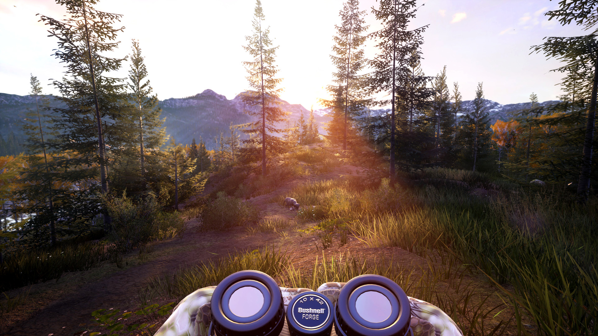 Скриншот: Hunting Simulator 2