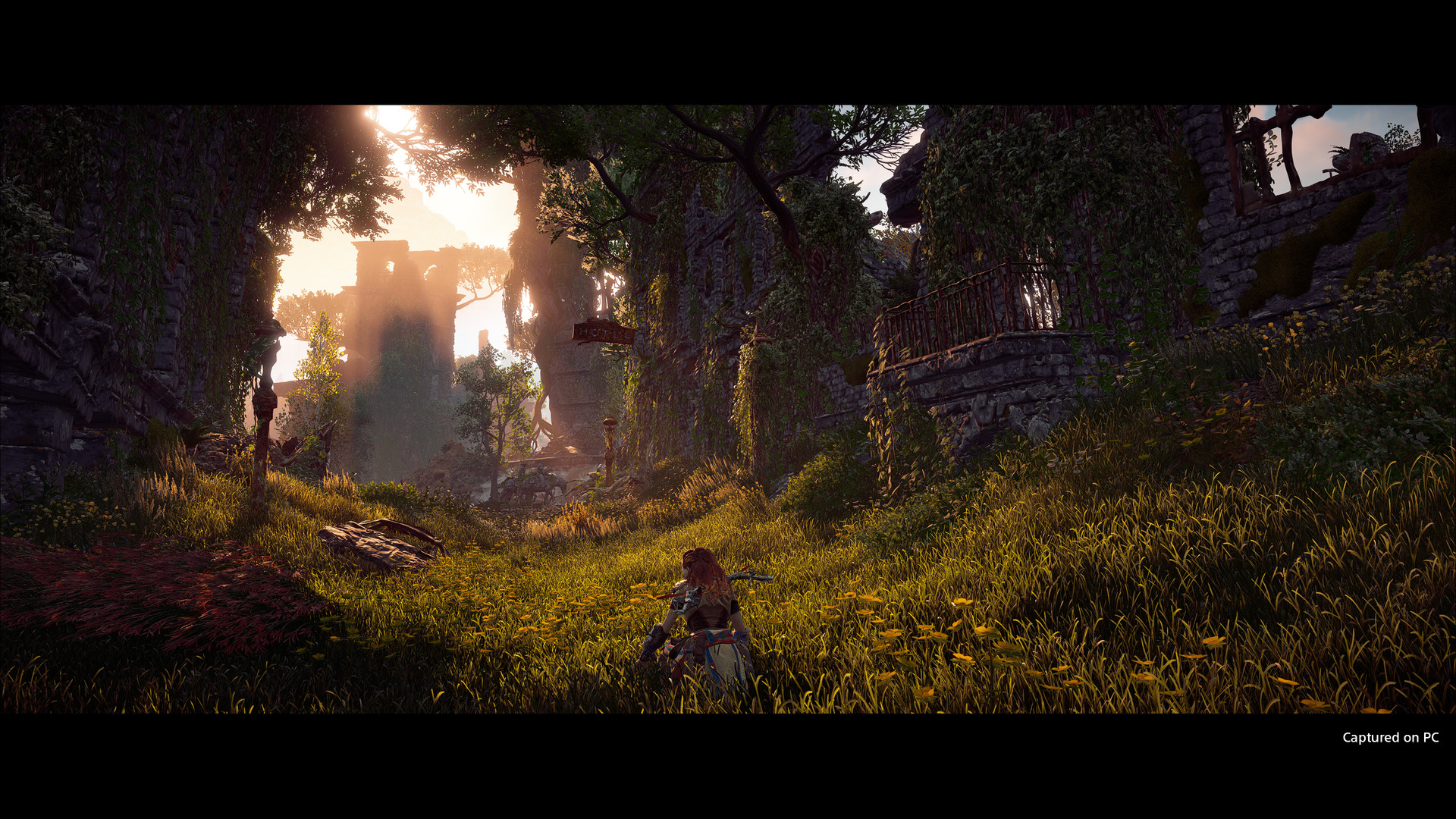 Скриншот: Horizon Zero Dawn™ Complete Edition