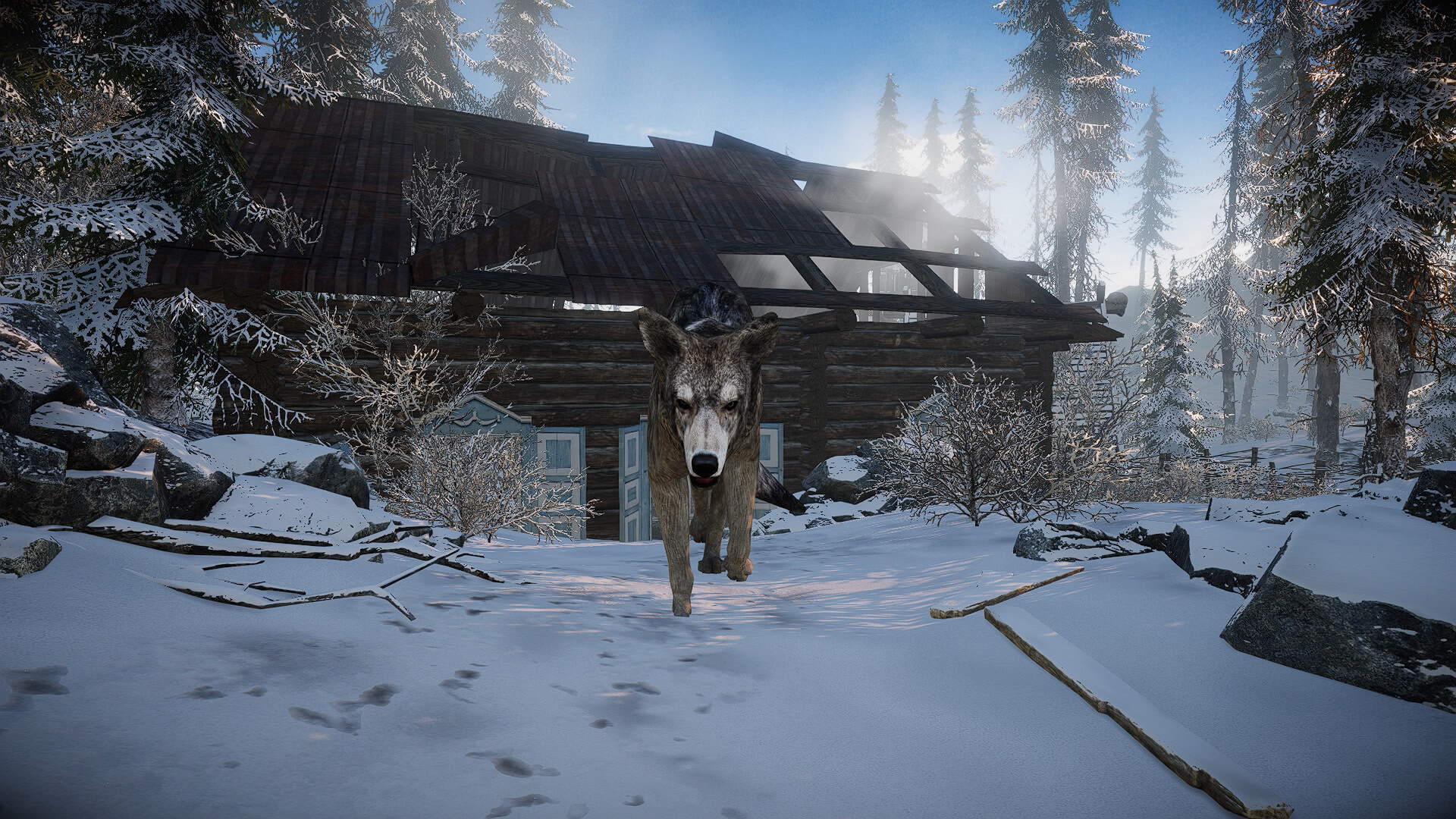 Скриншот: Short Snow | Cold Survival Game