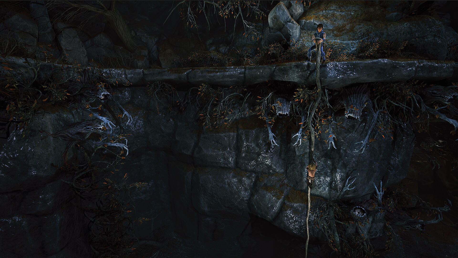 Скриншот: Brothers: A Tale of Two Sons Remake