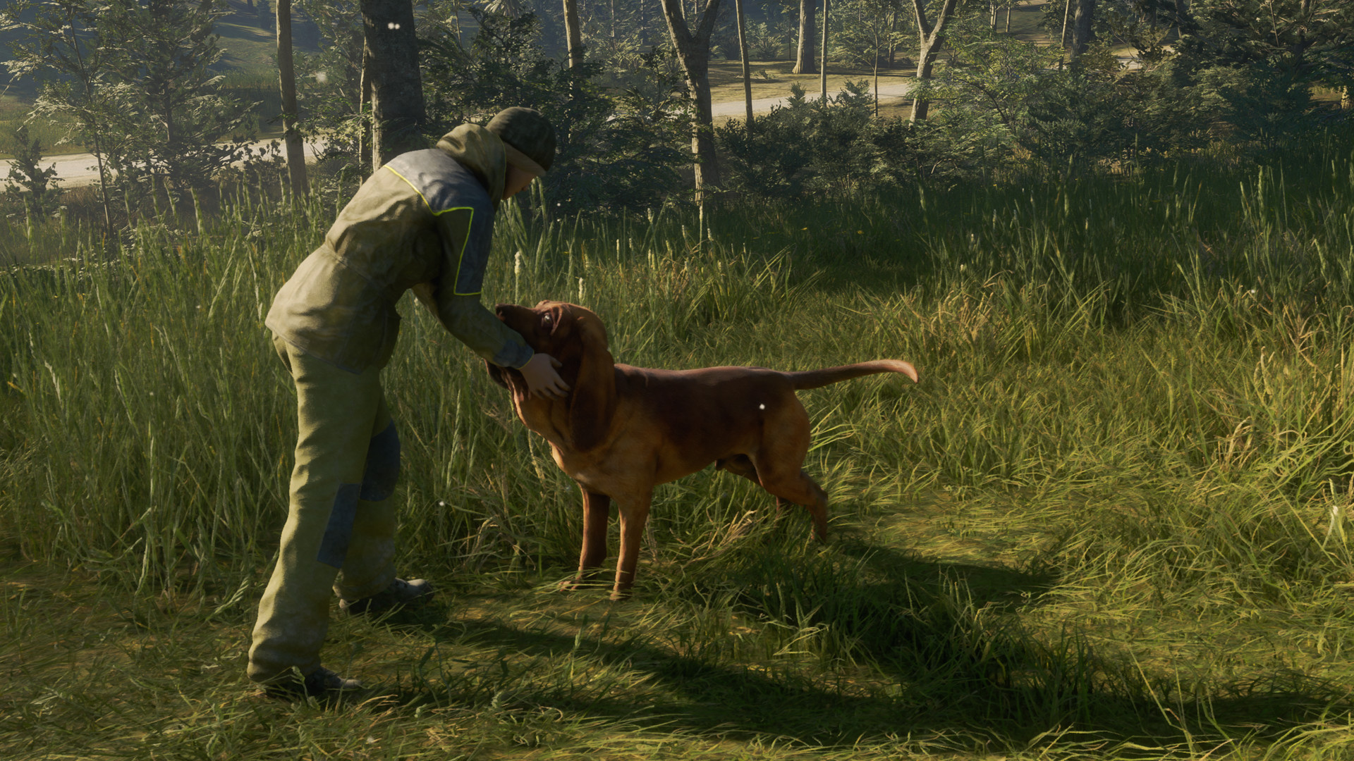 Скриншот: theHunter: Call of the Wild™ - Bloodhound