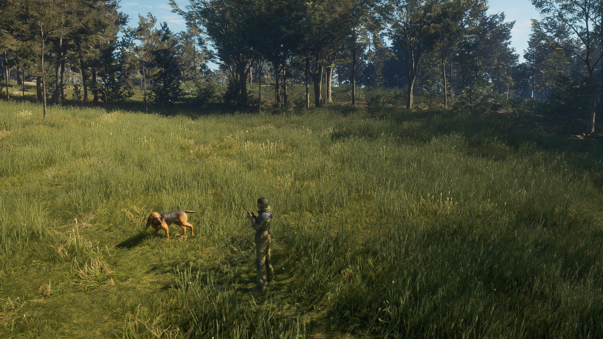 Скриншот: theHunter: Call of the Wild™ - Bloodhound