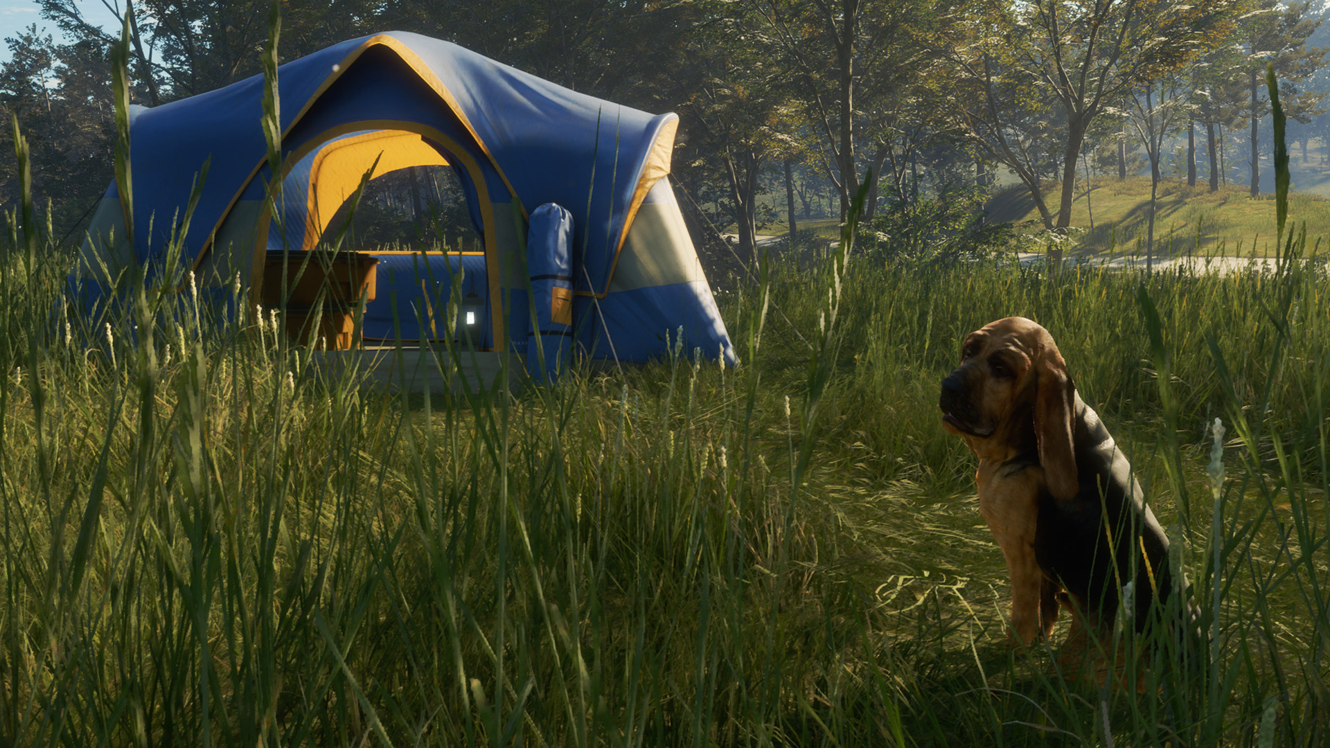 Скриншот: theHunter: Call of the Wild™ - Bloodhound