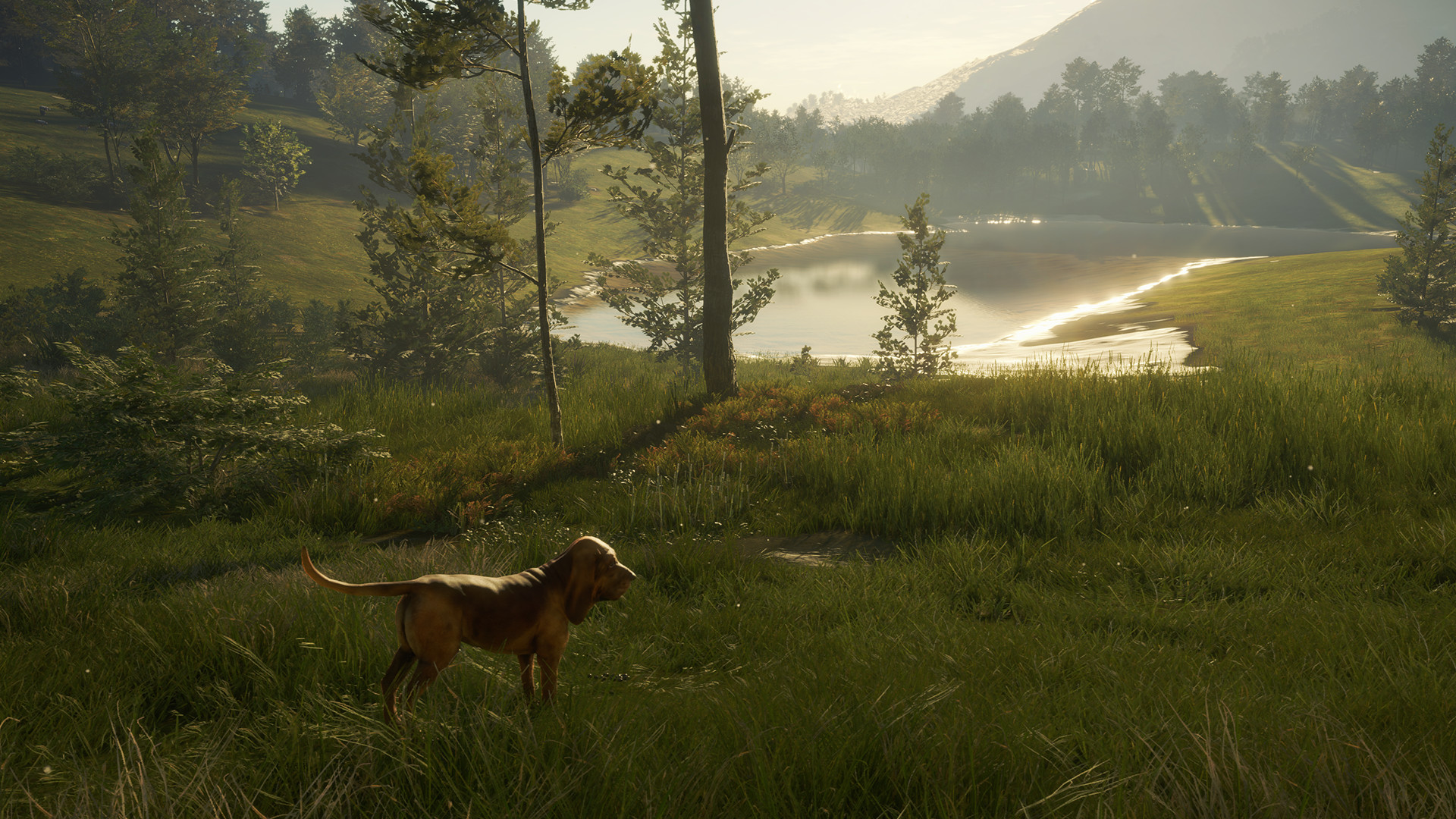 Скриншот: theHunter: Call of the Wild™ - Bloodhound