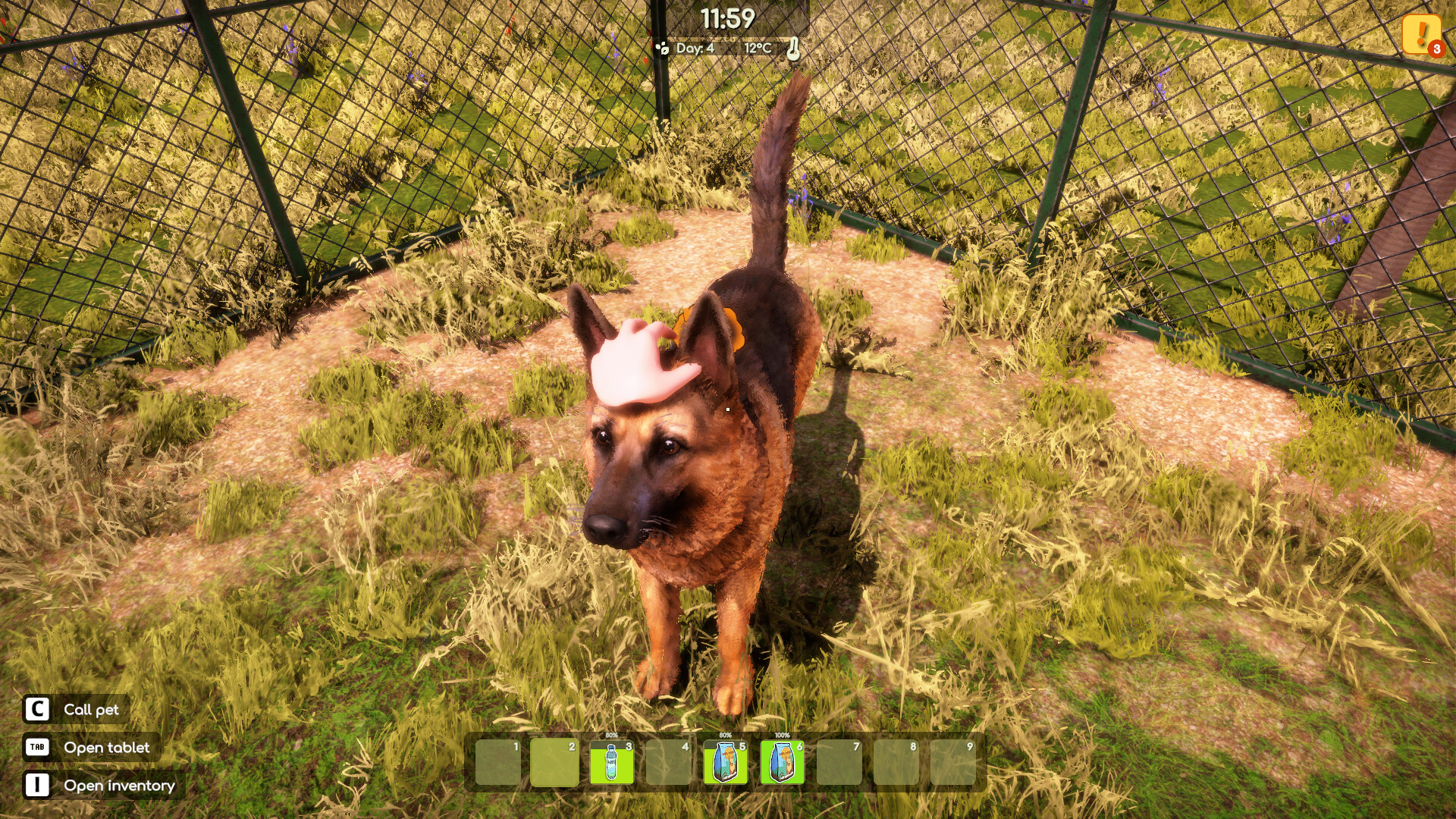Скриншот: Animal Shelter 2