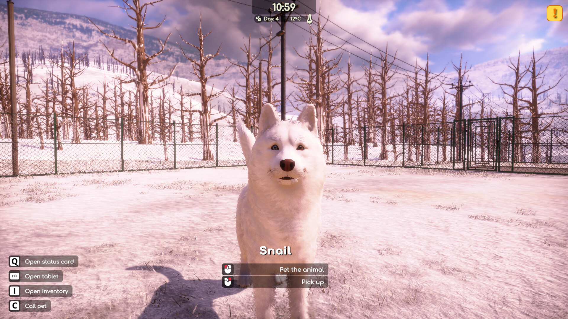 Скриншот: Animal Shelter 2