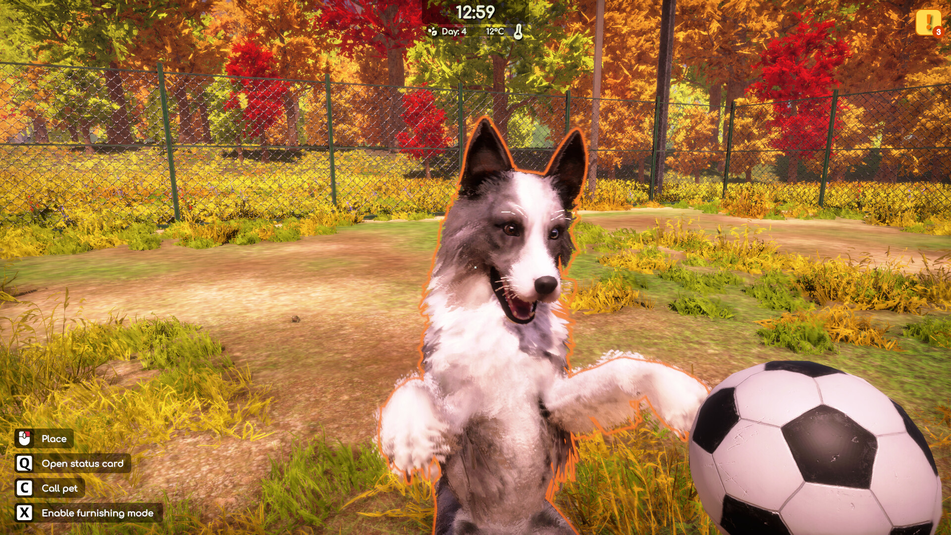 Скриншот: Animal Shelter 2
