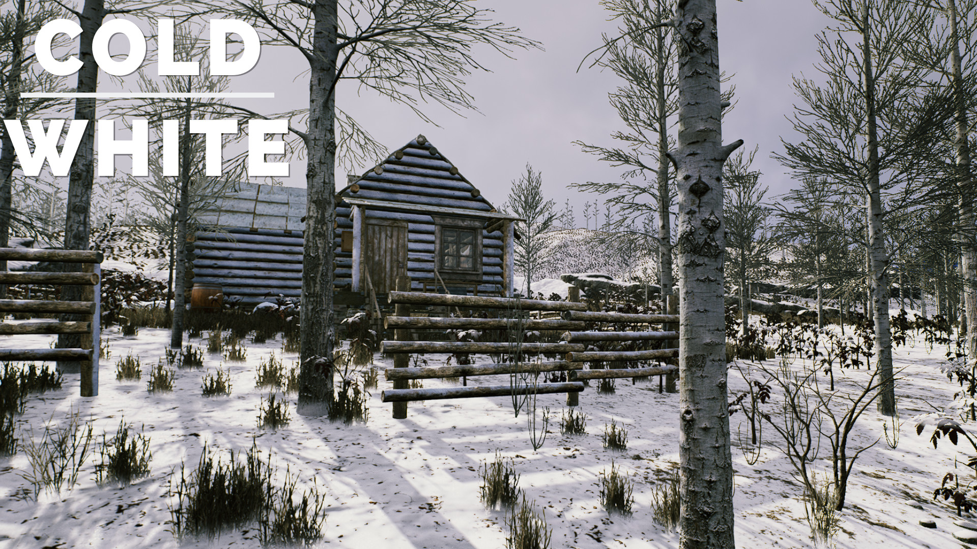 Скриншот: The Cold White