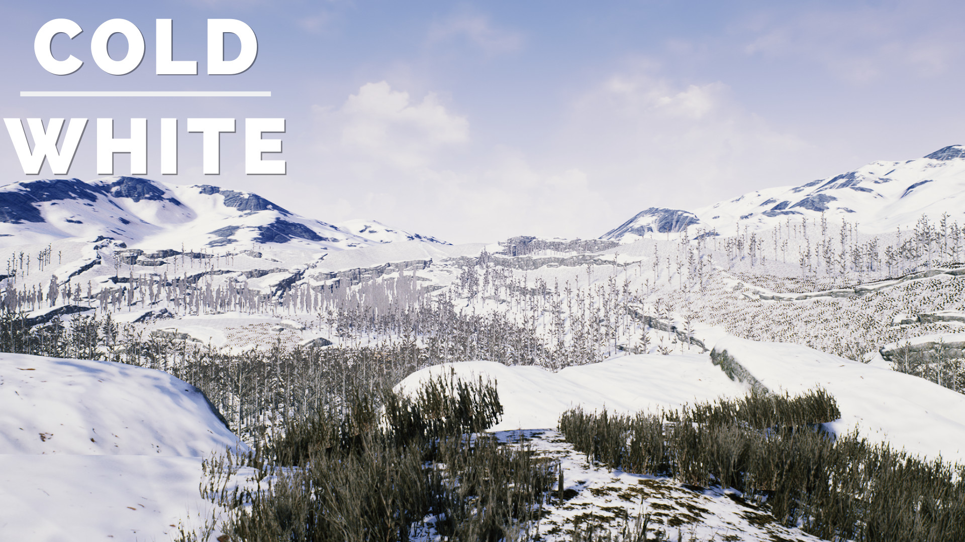 Скриншот: The Cold White