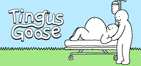 Обложка игры: Tingus Goose