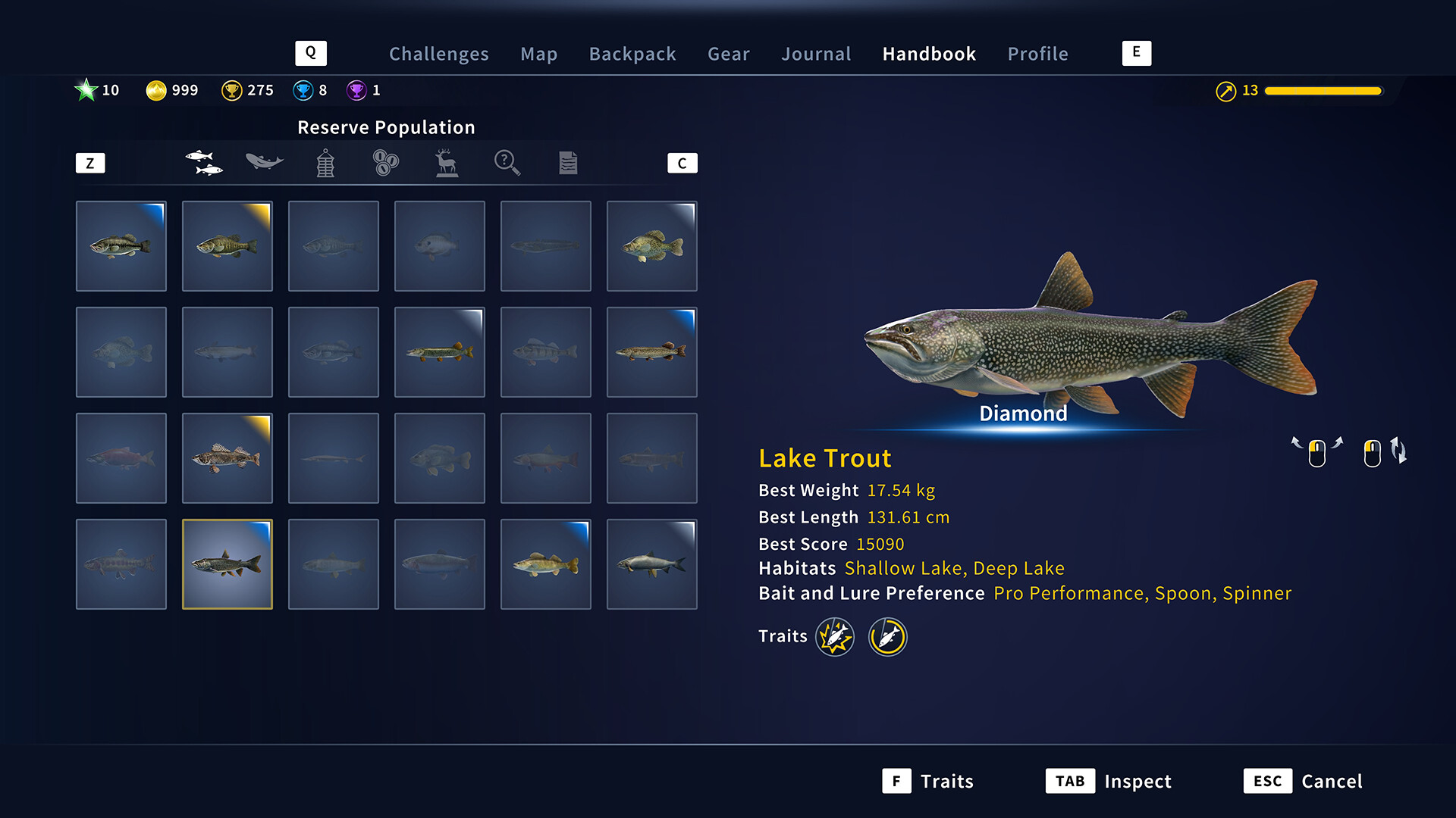 Скриншот: Call of the Wild: The Angler™